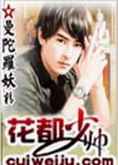 花都少帅全本目录